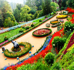 ooty